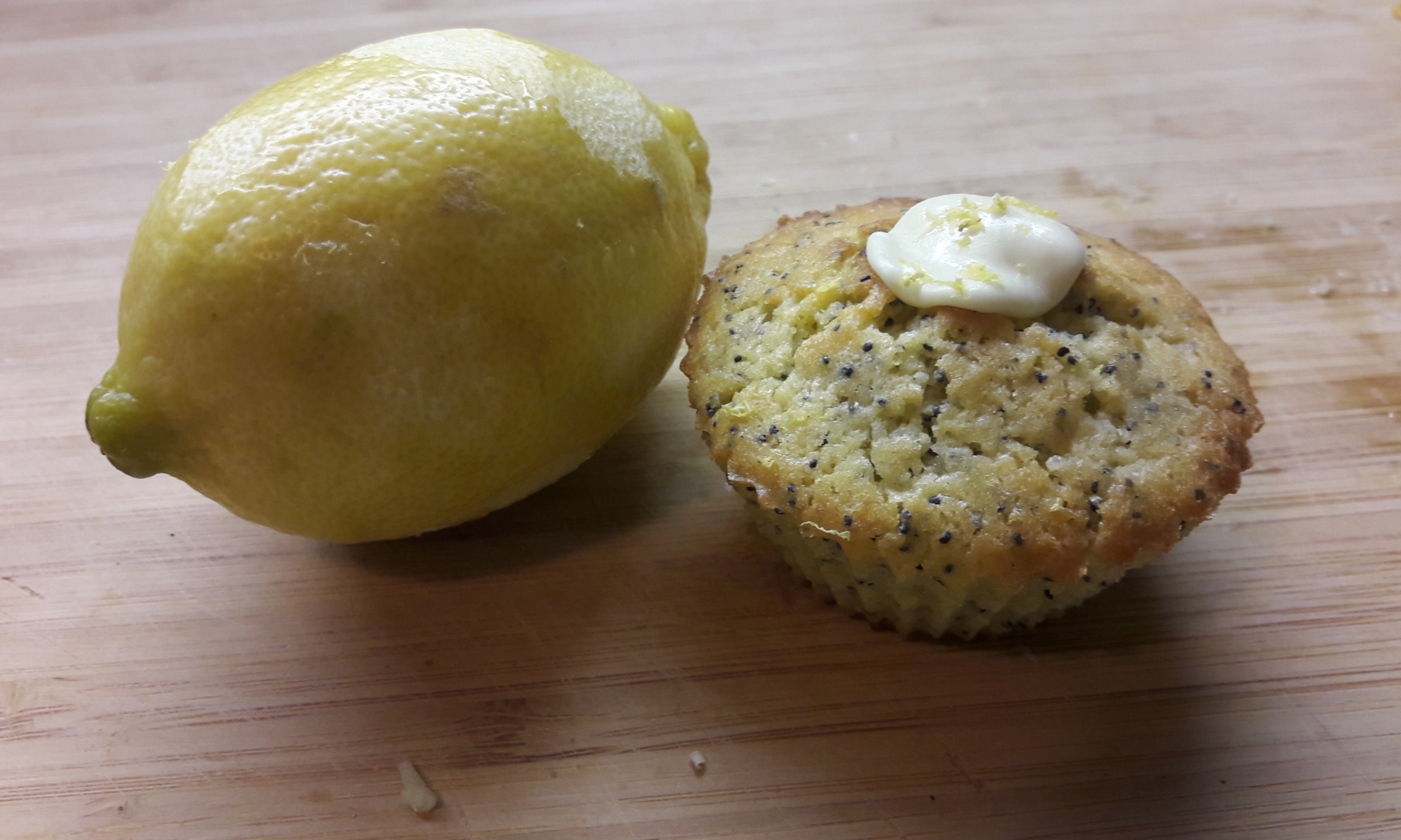 muffin citron pavot